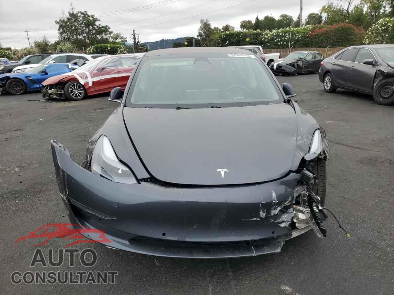 TESLA MODEL 3 2018 - 5YJ3E1EA2JF045577