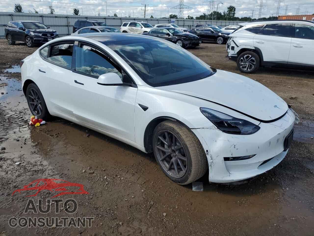 TESLA MODEL 3 2021 - 5YJ3E1EA5MF045951