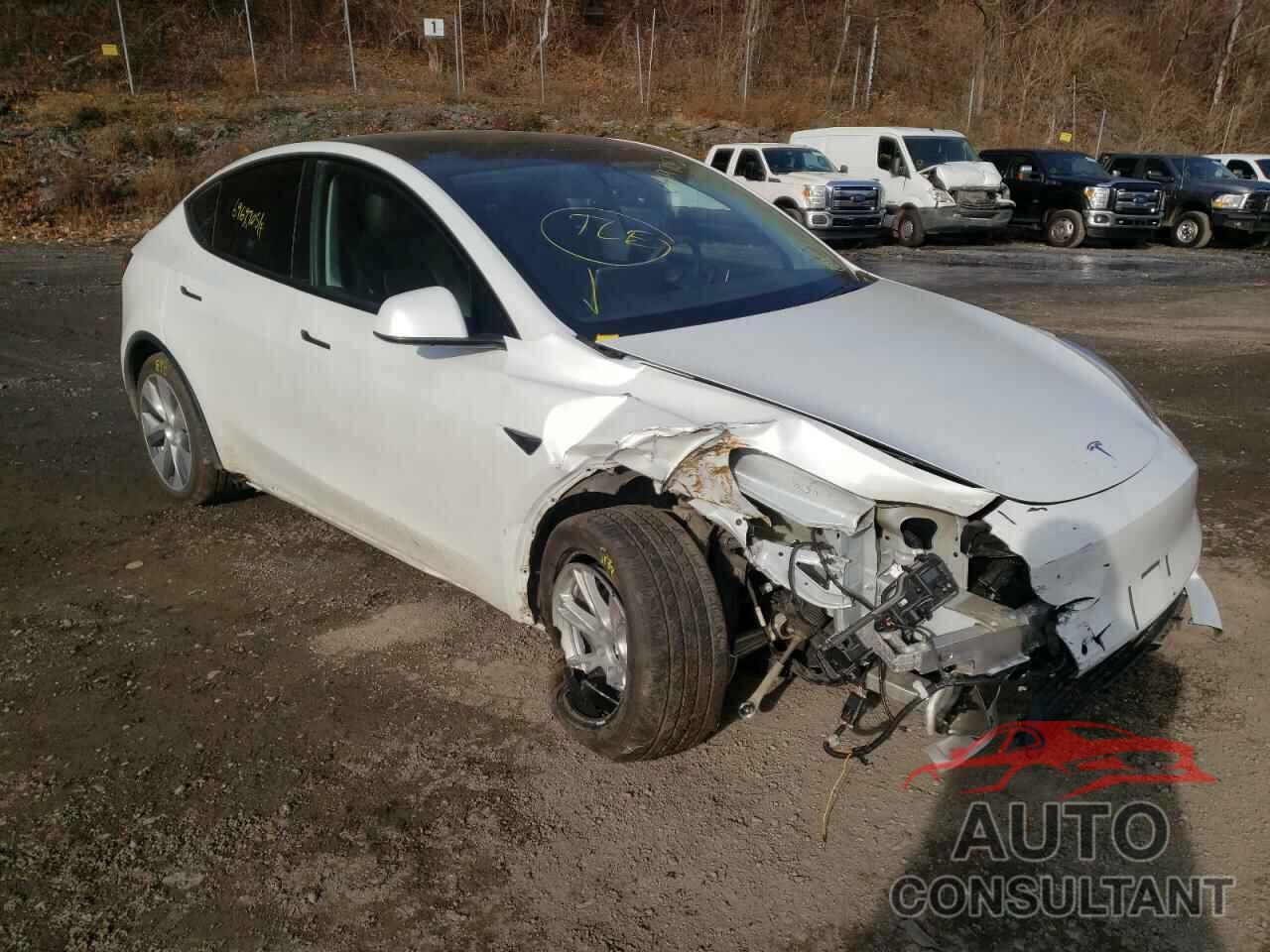TESLA MODEL Y 2020 - 5YJYGDEE1LF009645