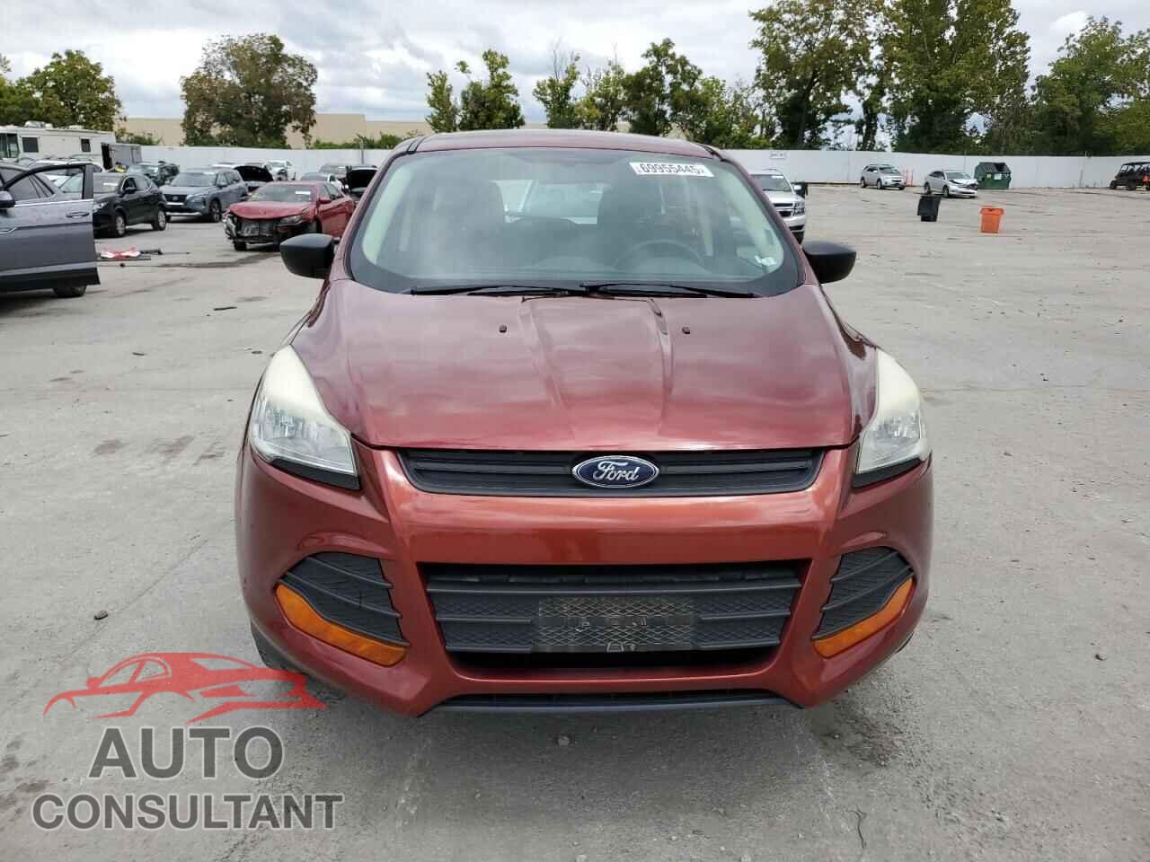 FORD ESCAPE 2016 - 1FMCU0F71GUA10346