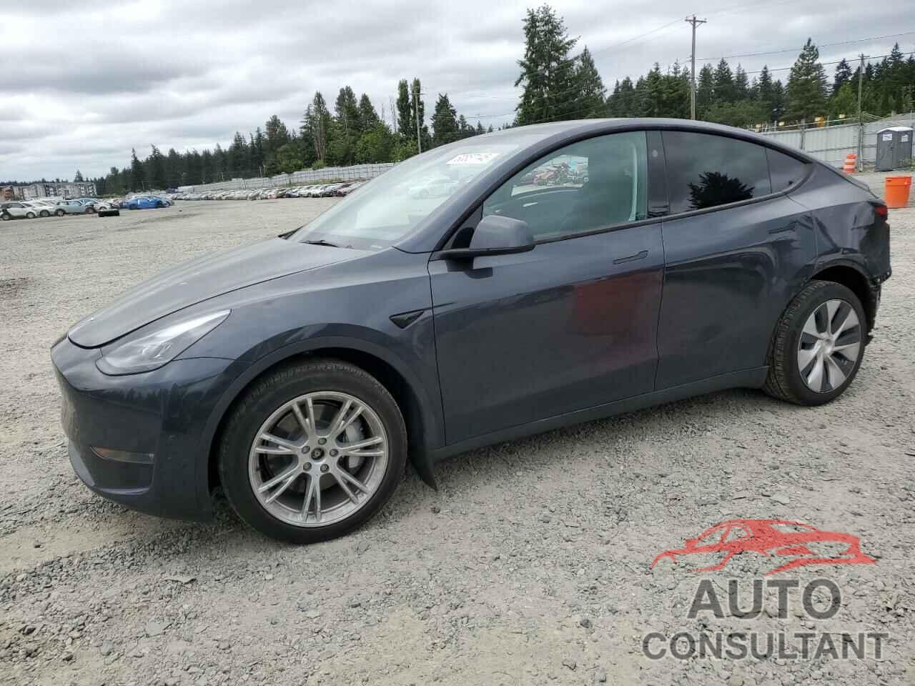 TESLA MODEL Y 2024 - 7SAYGDEE9RF069801