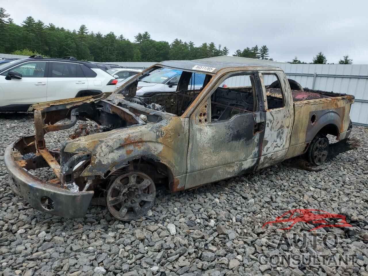 FORD F-150 2010 - 1FTFX1EV1AFC00061