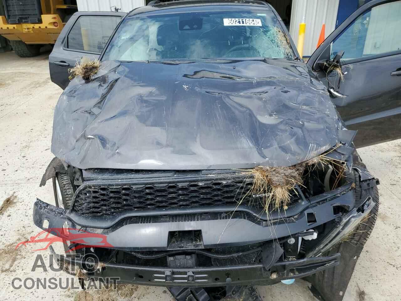DODGE DURANGO 2023 - 1C4RDJDG6PC637587