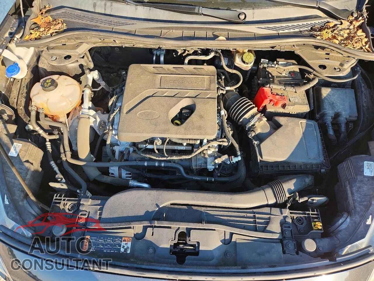 FORD ESCAPE 2020 - 1FMCU9G61LUA44498