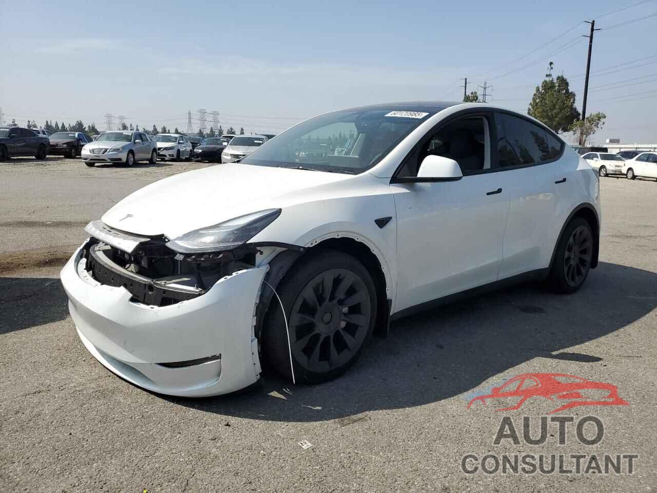 TESLA MODEL Y 2024 - 7SAYGDEE1RF124922