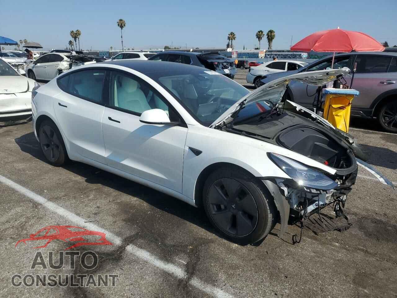 TESLA MODEL 3 2021 - 5YJ3E1EA8MF987475