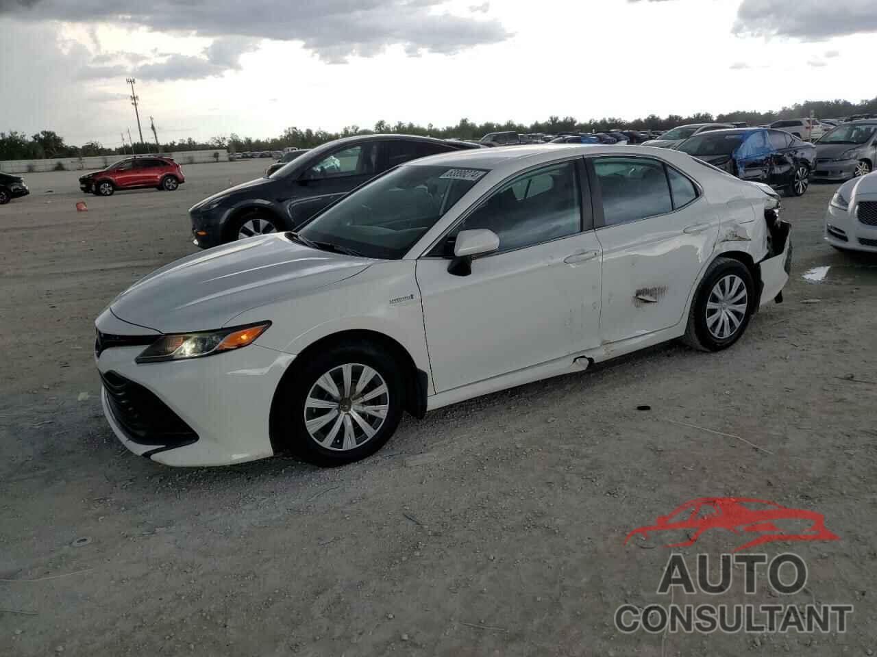 TOYOTA CAMRY 2019 - 4T1B31HK6KU007490