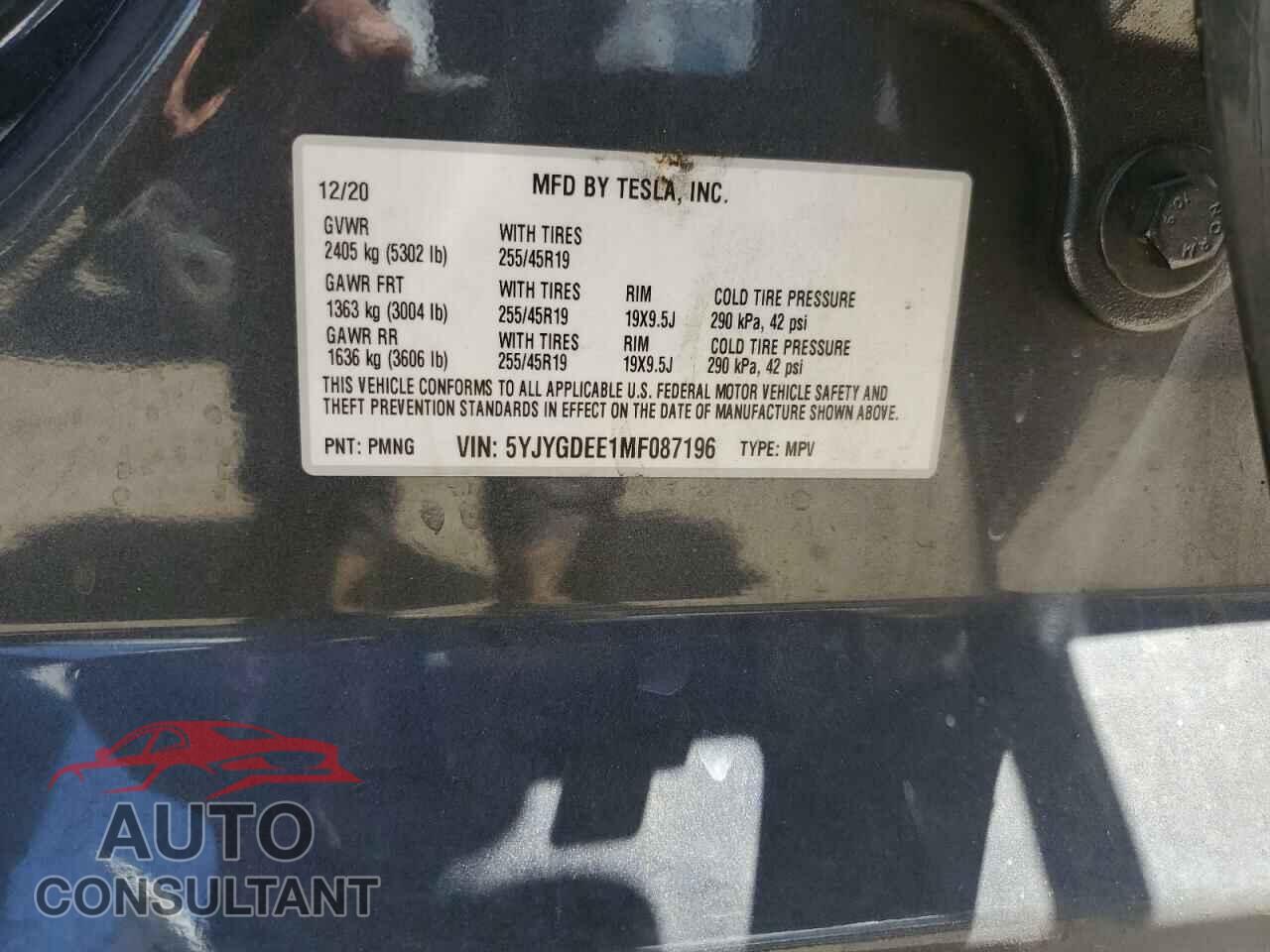 TESLA MODEL Y 2021 - 5YJYGDEE1MF087196