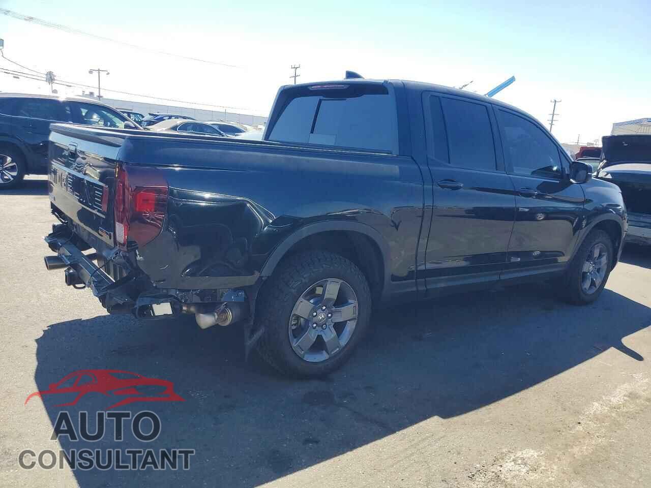 HONDA RIDGELINE 2024 - 5FPYK3F6XRB025780
