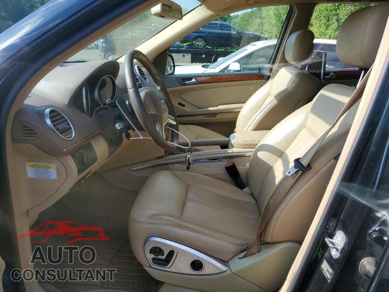 MERCEDES-BENZ GL-CLASS 2009 - 4JGBF71E19A472415