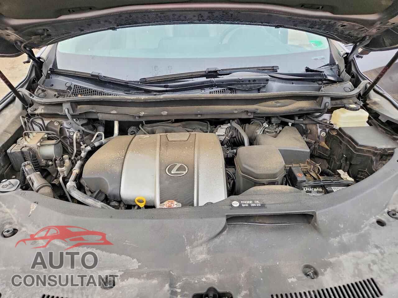 LEXUS RX350 2019 - 2T2BZMCA4KC172286