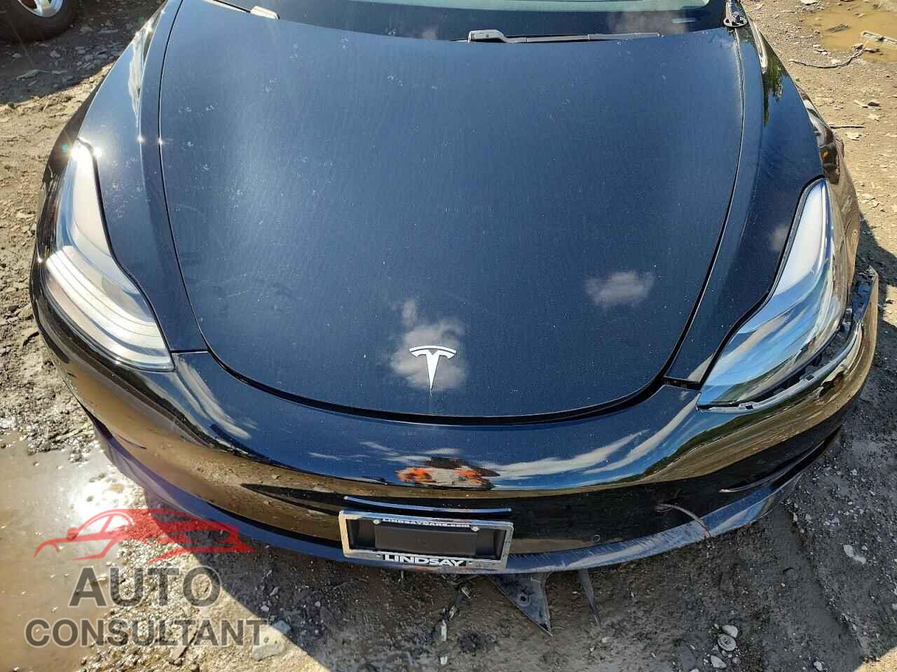 TESLA MODEL 3 2021 - 5YJ3E1EA0MF976390