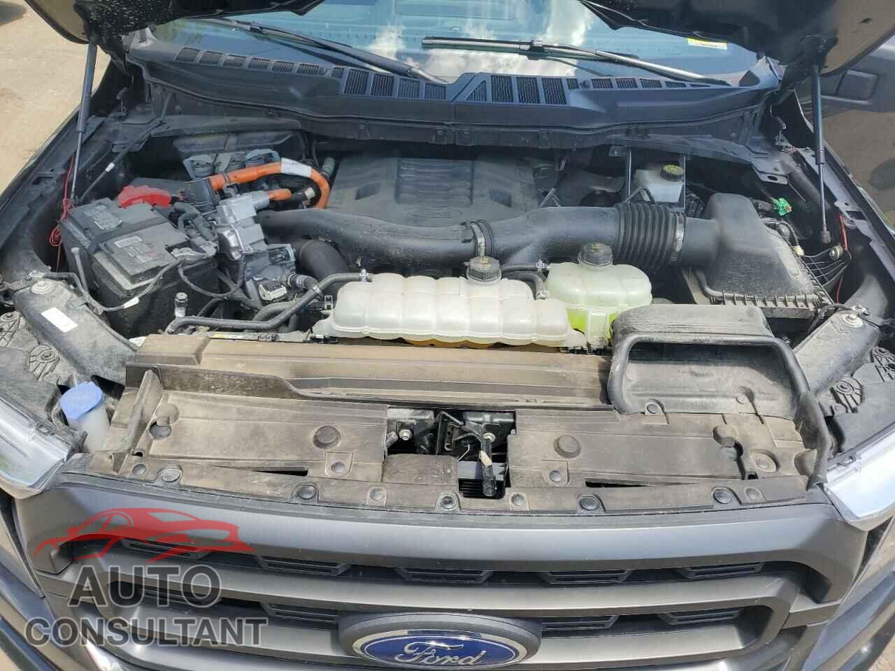 FORD F-150 2023 - 1FTFW1ED9PFB40162