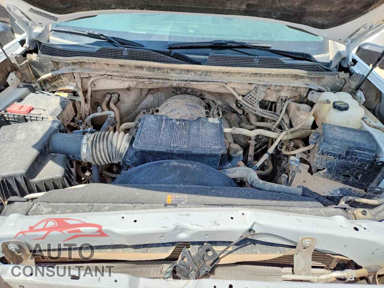CHEVROLET SILVERADO 2024 - 1GC3YLE7XRF433395