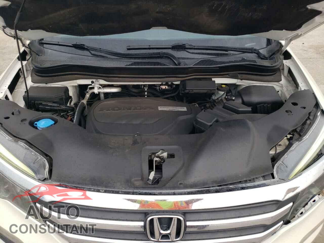 HONDA PILOT 2018 - 5FNYF5H84JB027245