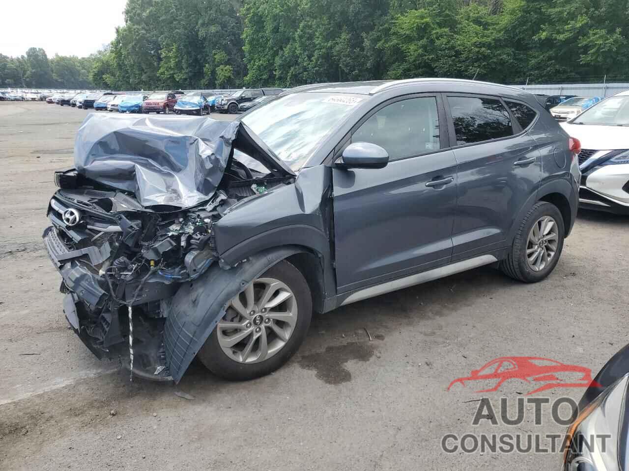 HYUNDAI TUCSON 2017 - KM8J3CA43HU574350