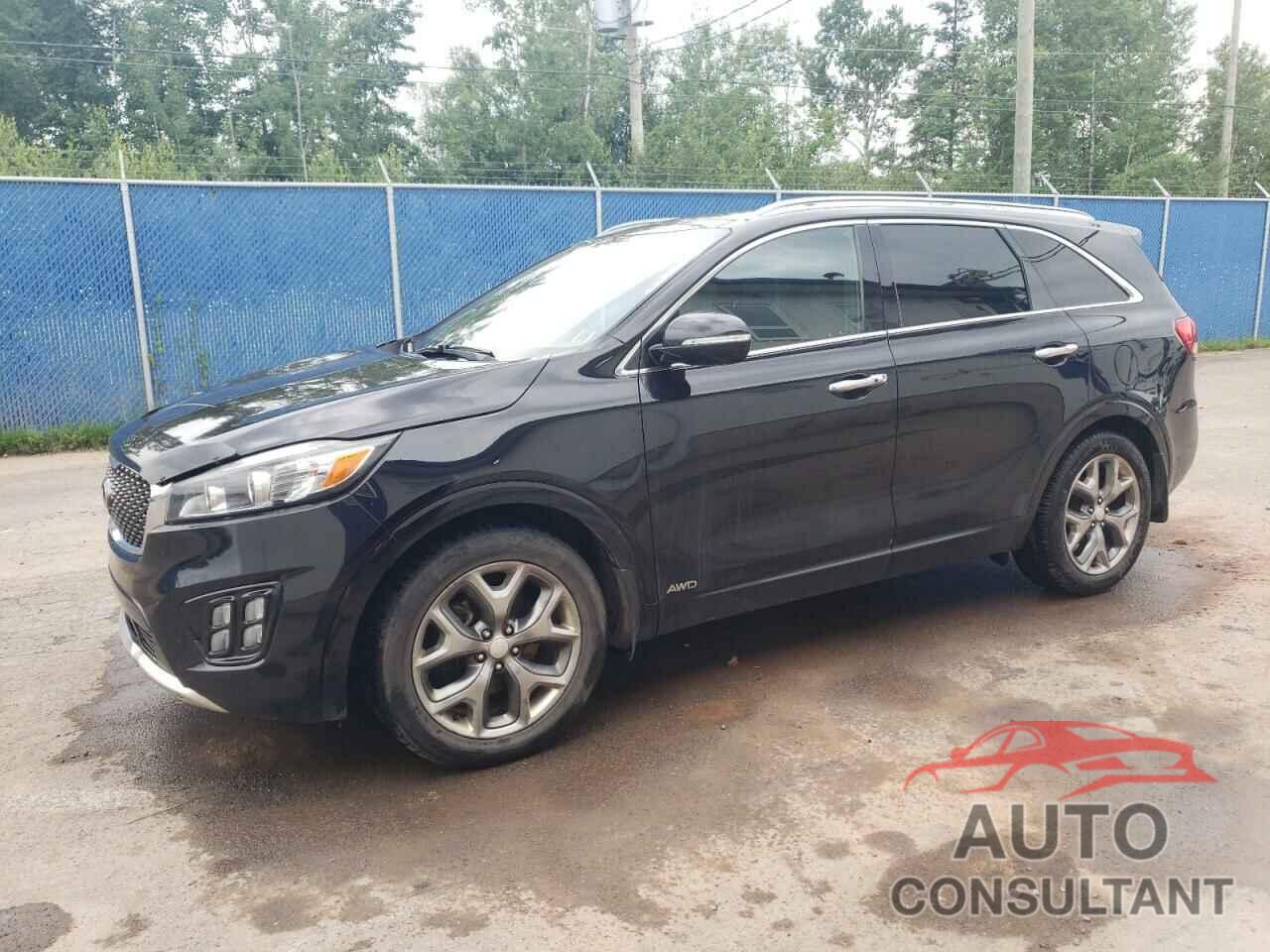 KIA SORENTO 2016 - 5XYPKDA53GG070185