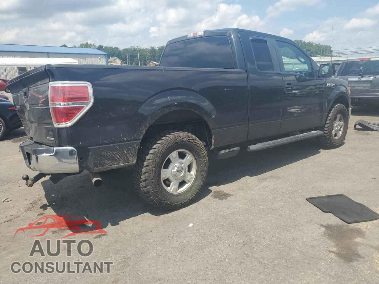 FORD F-150 2011 - 1FTFX1EF3BFA63831