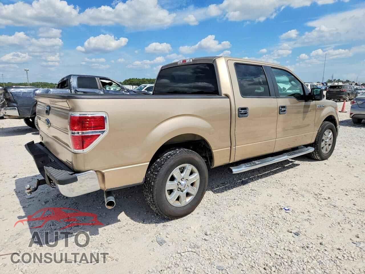 FORD F150 2013 - 1FTFW1CFXDFD55663