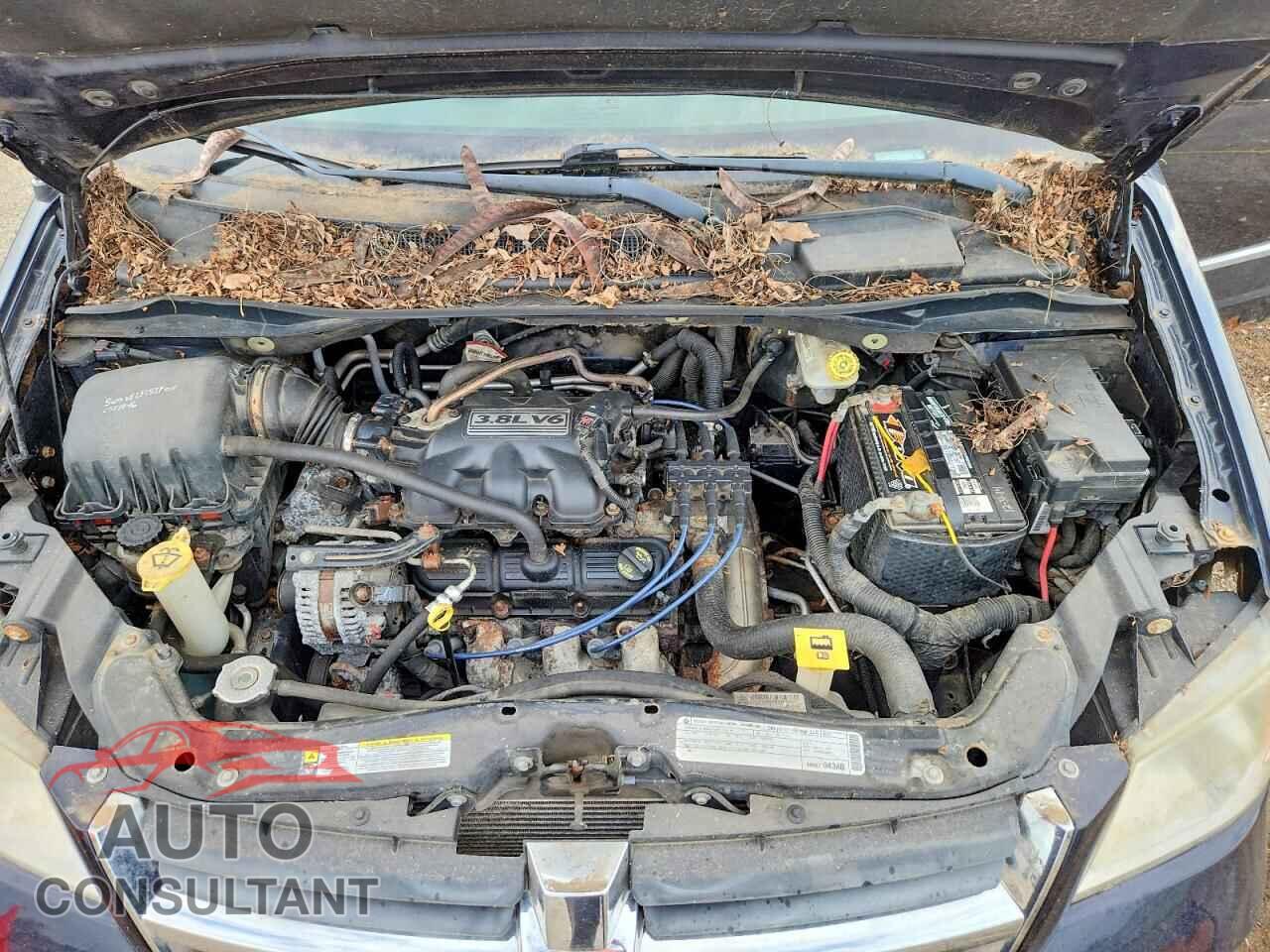 DODGE CARAVAN 2010 - 2D4RN5D12AR264100