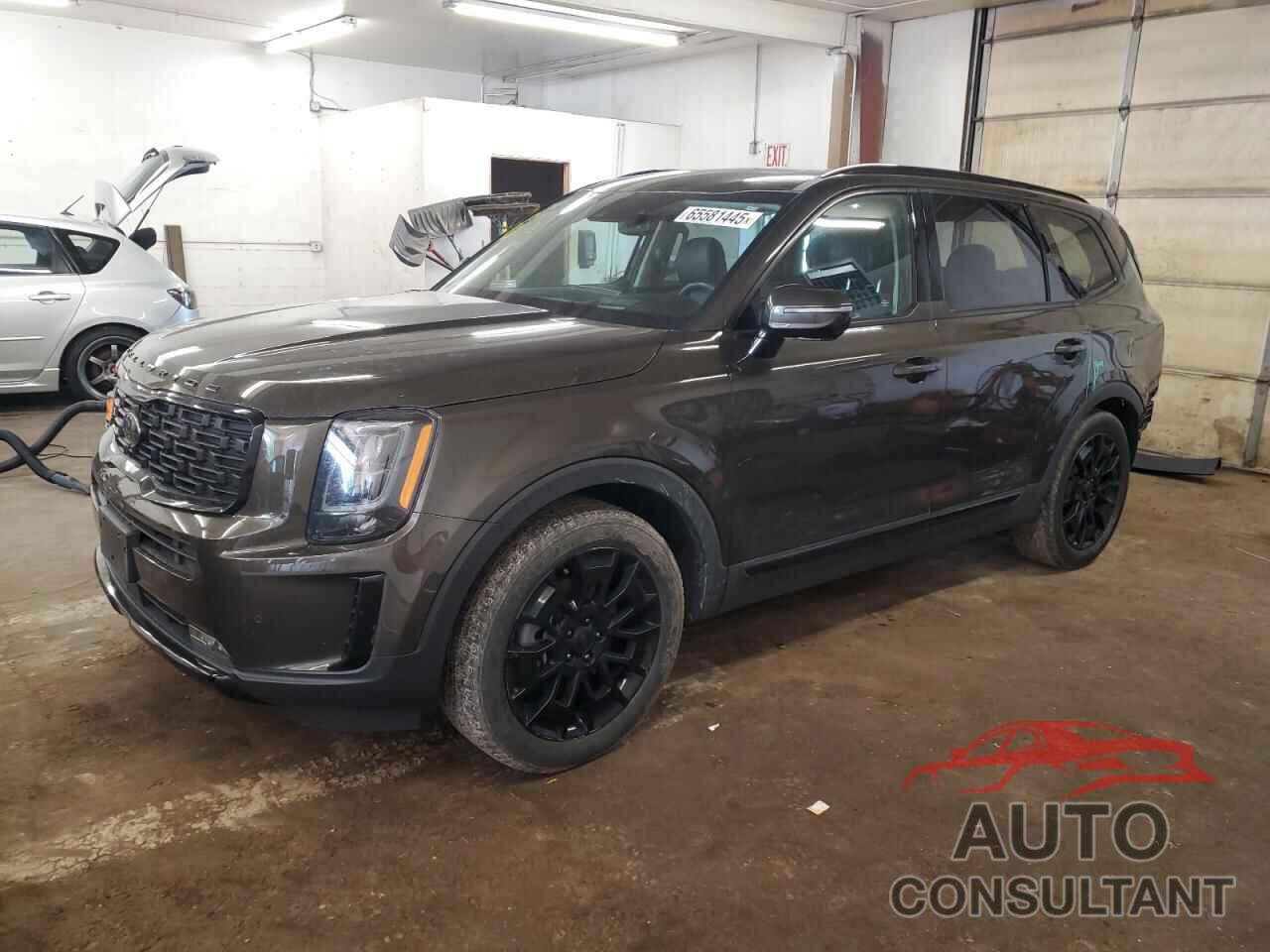 KIA TELLURIDE 2021 - 5XYP5DHC9MG193528
