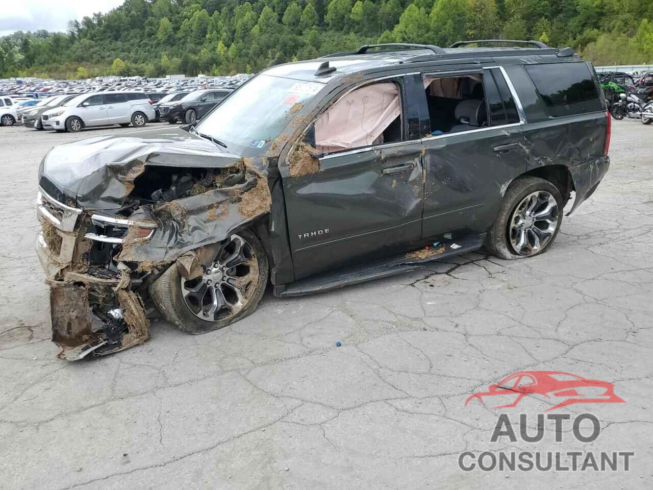 CHEVROLET TAHOE 2019 - 1GNSKAKC9KR212997