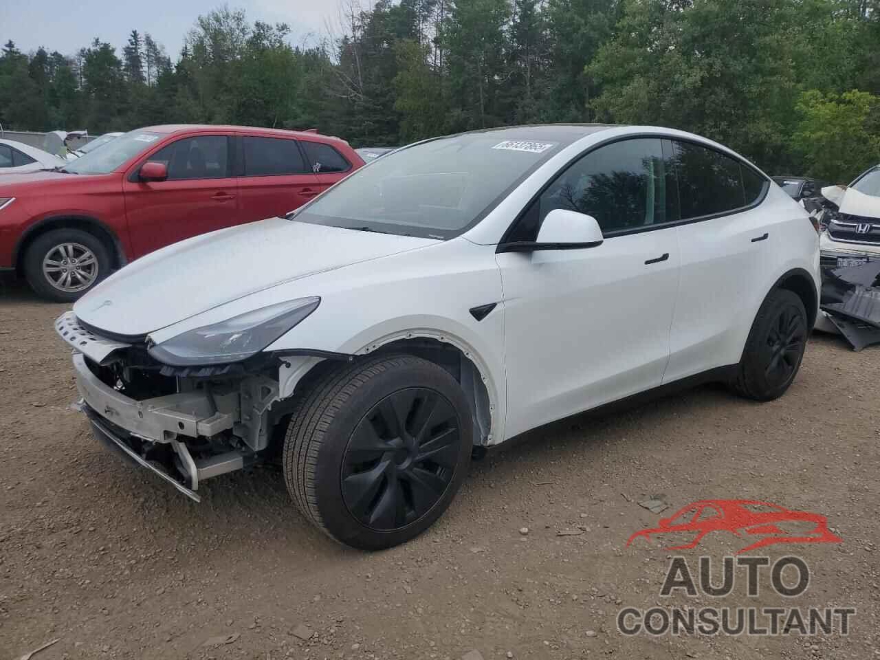 TESLA MODEL Y 2024 - LRWYGDFD7RC639369