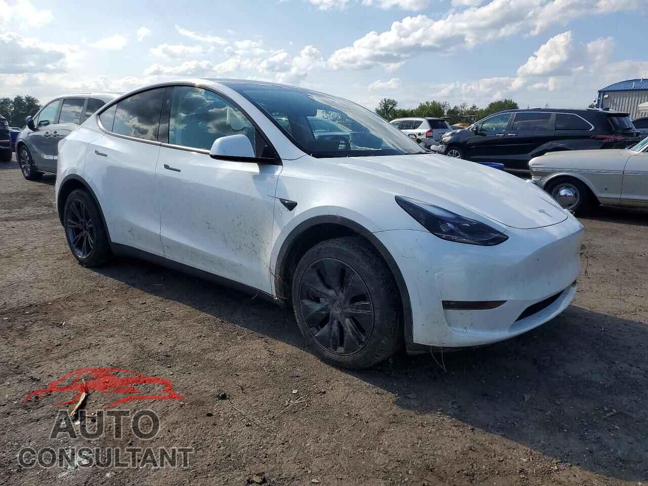 TESLA MODEL Y 2024 - 7SAYGDEDXRF104739