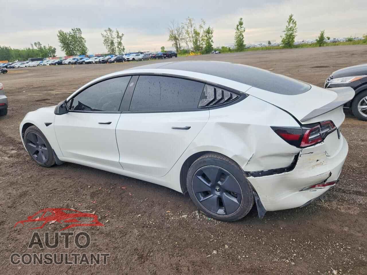 TESLA MODEL 3 2021 - 5YJ3E1EA9MF085241