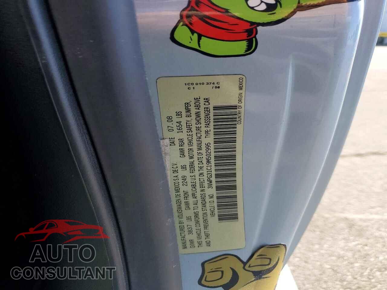 VOLKSWAGEN BEETLE 2009 - 3VWPG31C19M502995