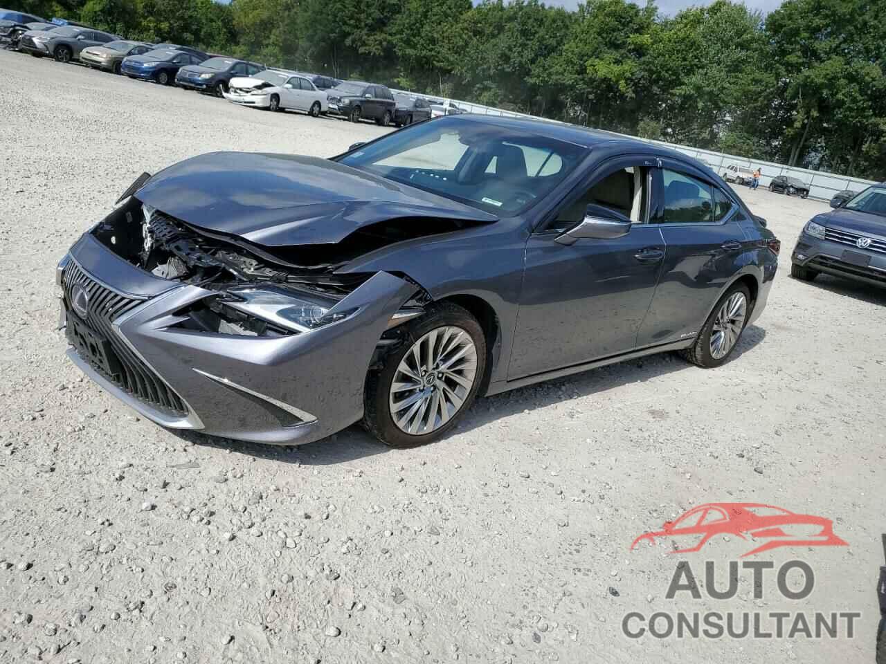 LEXUS ES300 2021 - 58AEA1C18MU005477