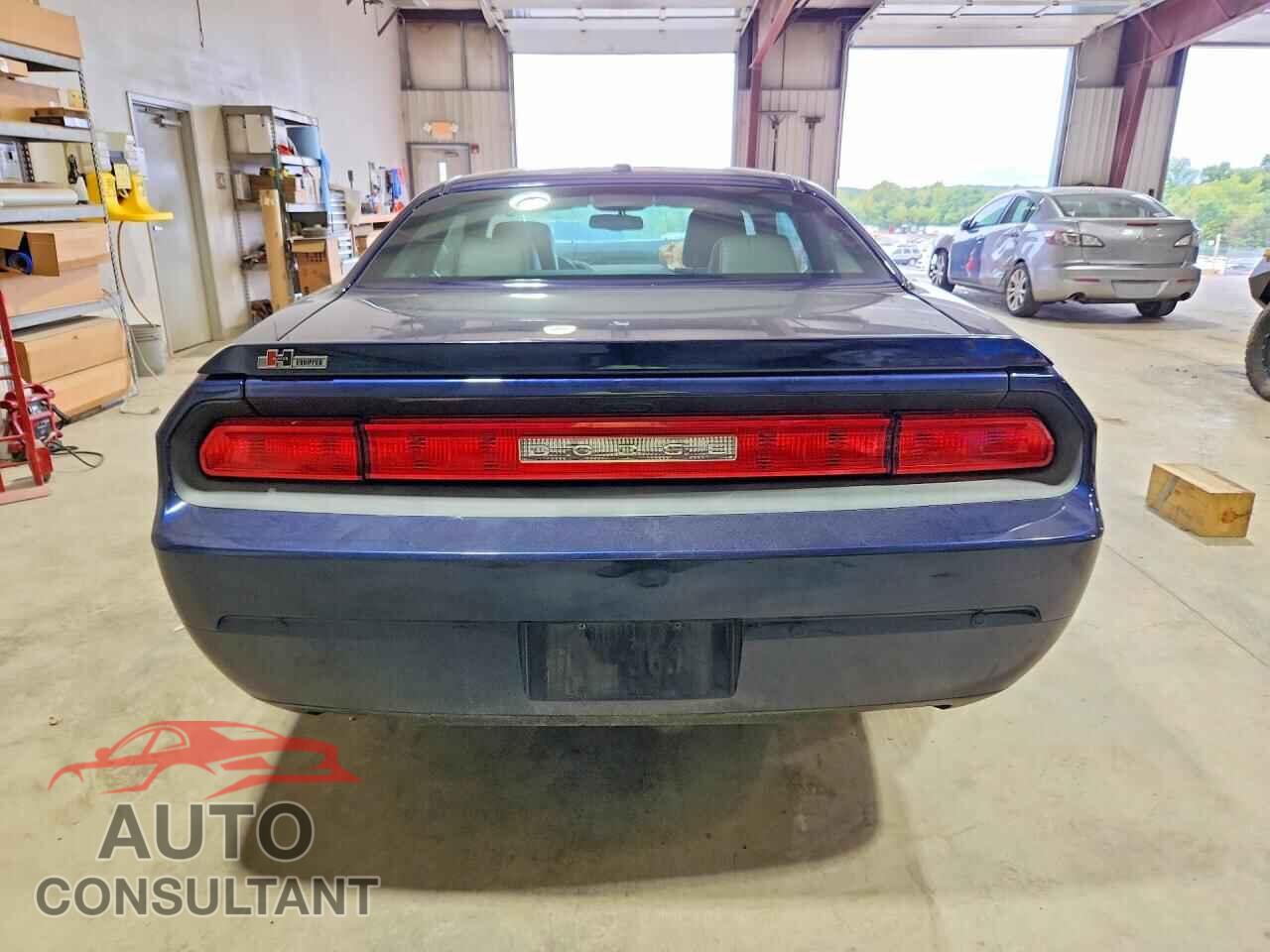 DODGE CHALLENGER 2013 - 2C3CDYBT6DH665935
