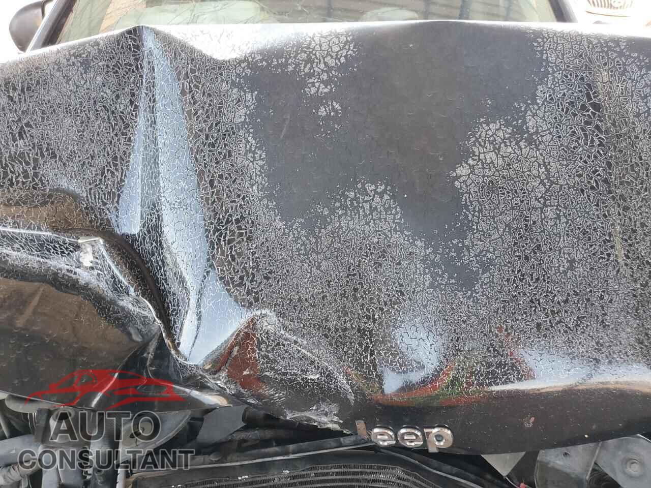 JEEP COMPASS 2012 - 1C4NJCBB1CD557550