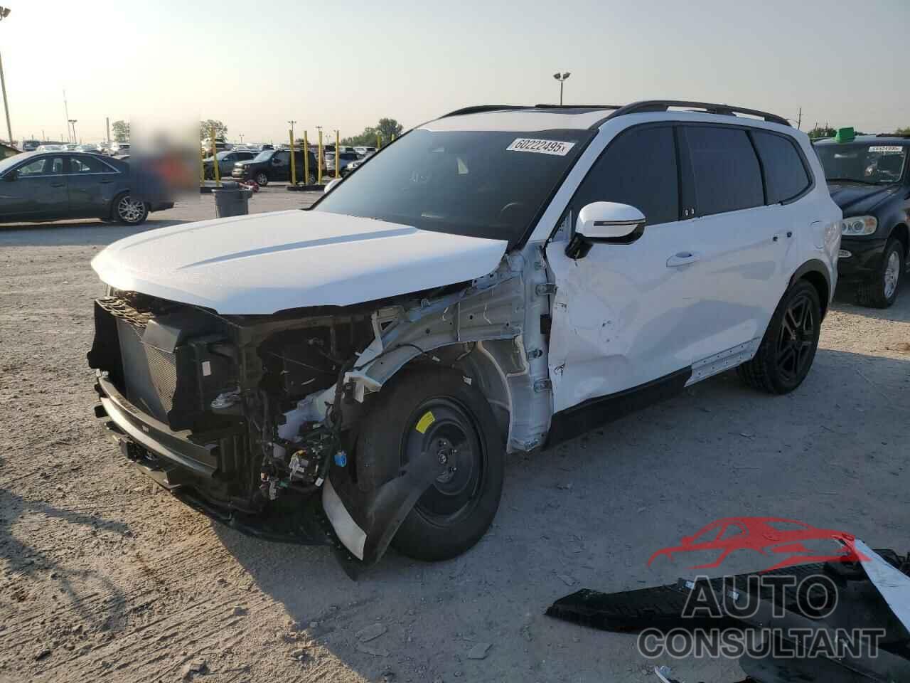 KIA TELLURIDE 2024 - 5XYP5DGCXRG550255