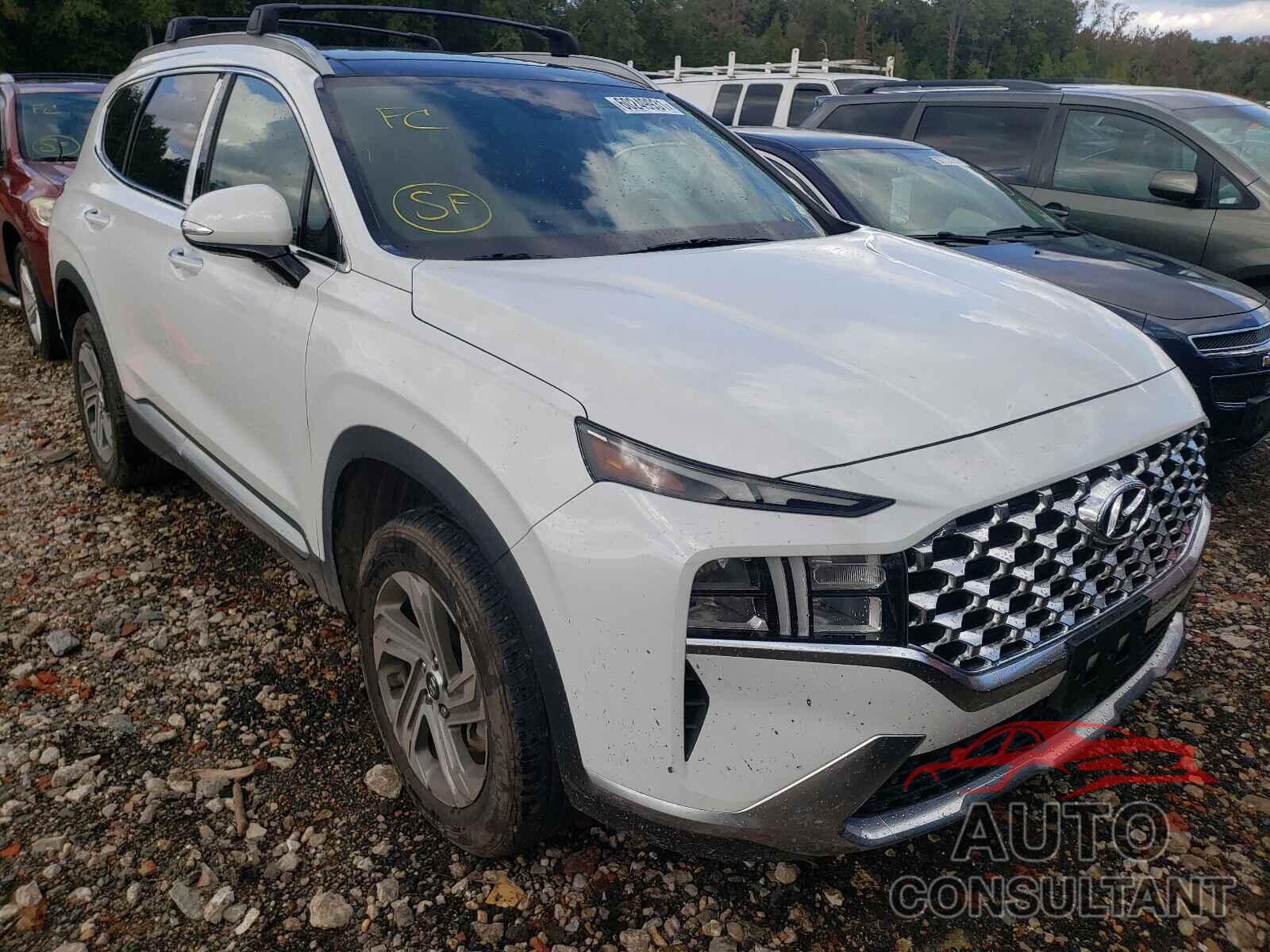 HYUNDAI SANTA FE 2021 - 5NMS3DAJ7MH309646
