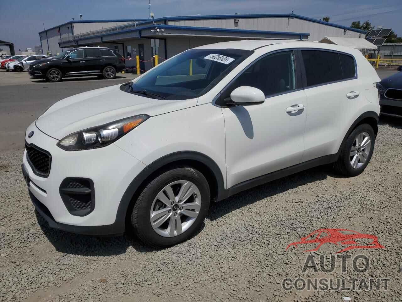KIA SPORTAGE 2019 - KNDPM3ACXK7541872