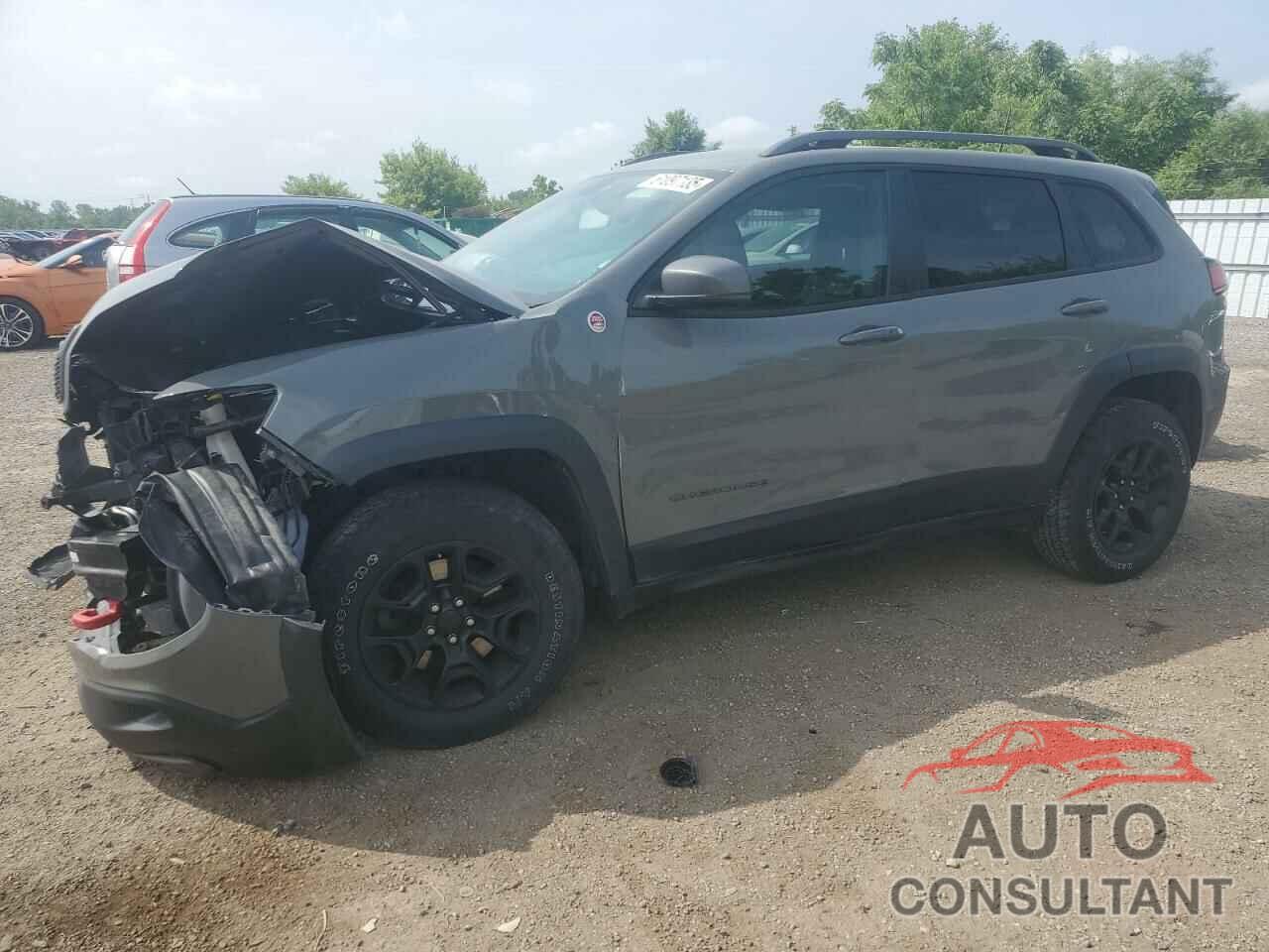 JEEP CHEROKEE 2019 - 1C4PJMBX6KD425554