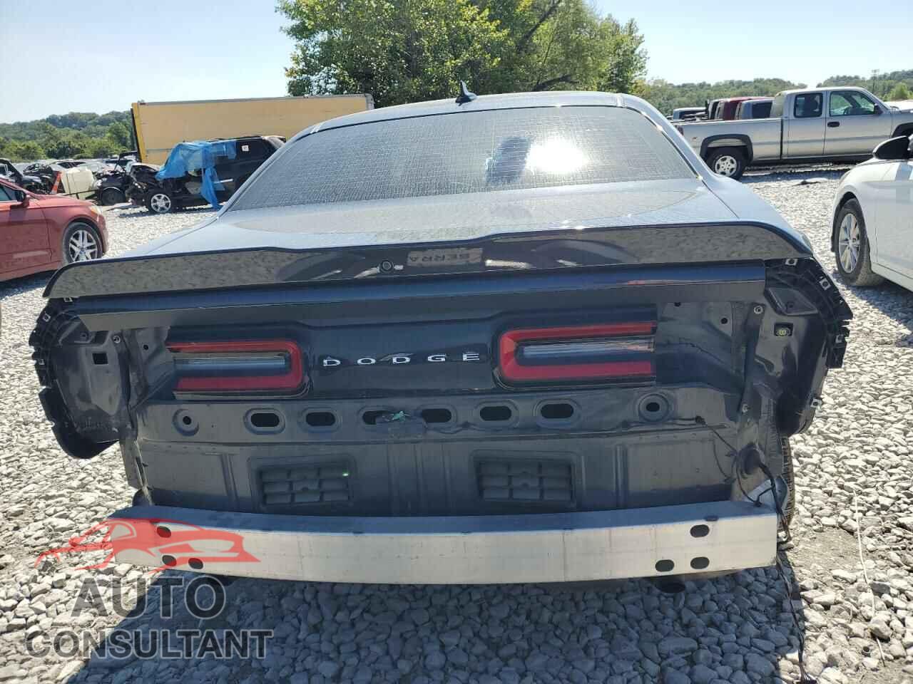 DODGE CHALLENGER 2017 - 2C3CDZAG9HH573959