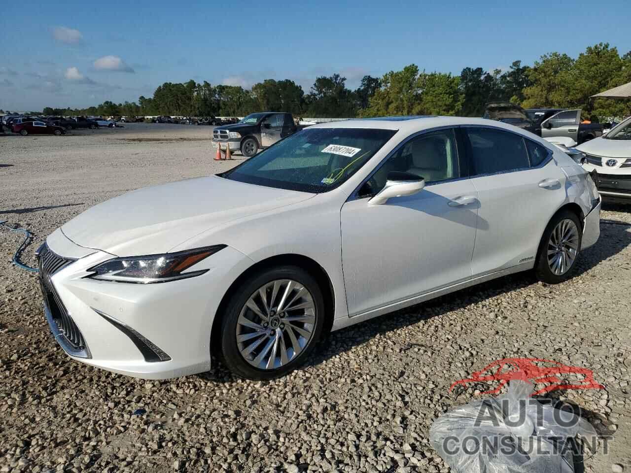 LEXUS ES300 2020 - 58AF21B16LU011571