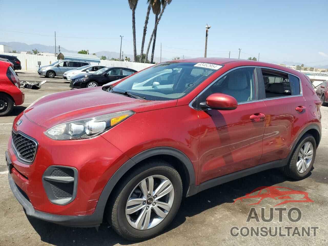 KIA SPORTAGE 2017 - KNDPM3AC4H7123445