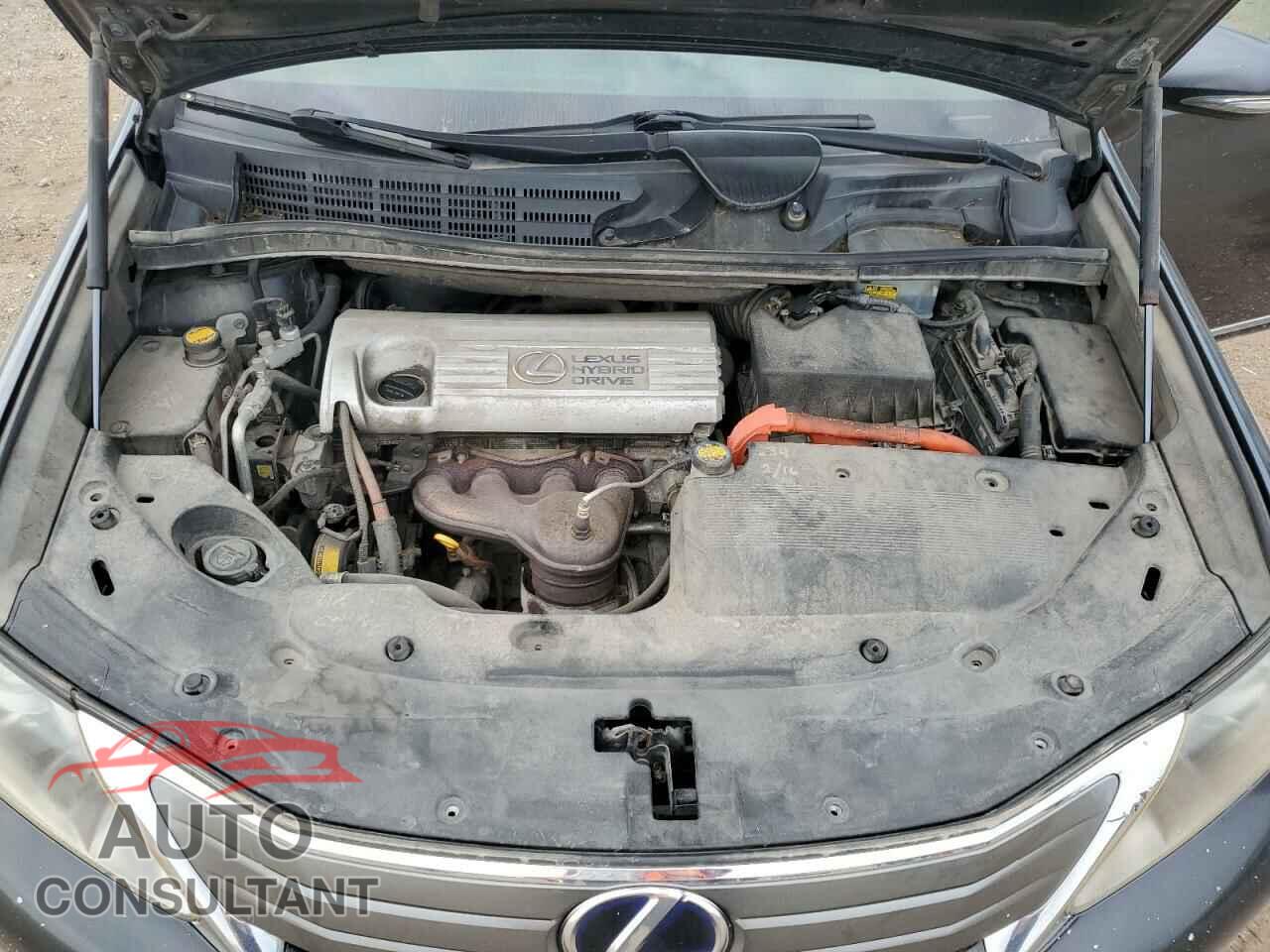 LEXUS HS 2010 - JTHBB1BA7A2025707