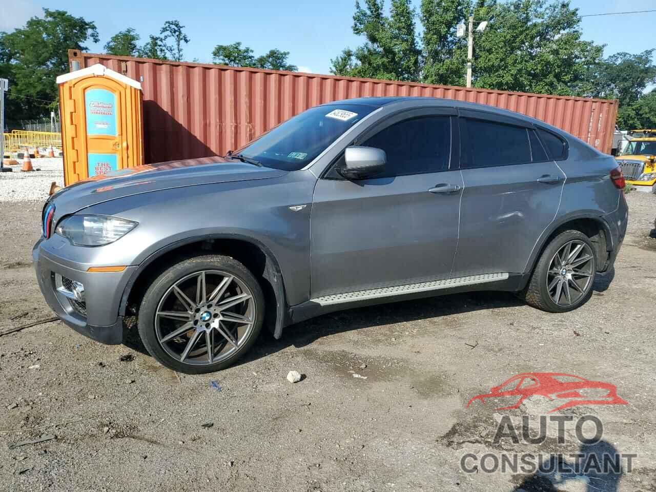 BMW X6 2013 - 5UXFG2C54DL786168