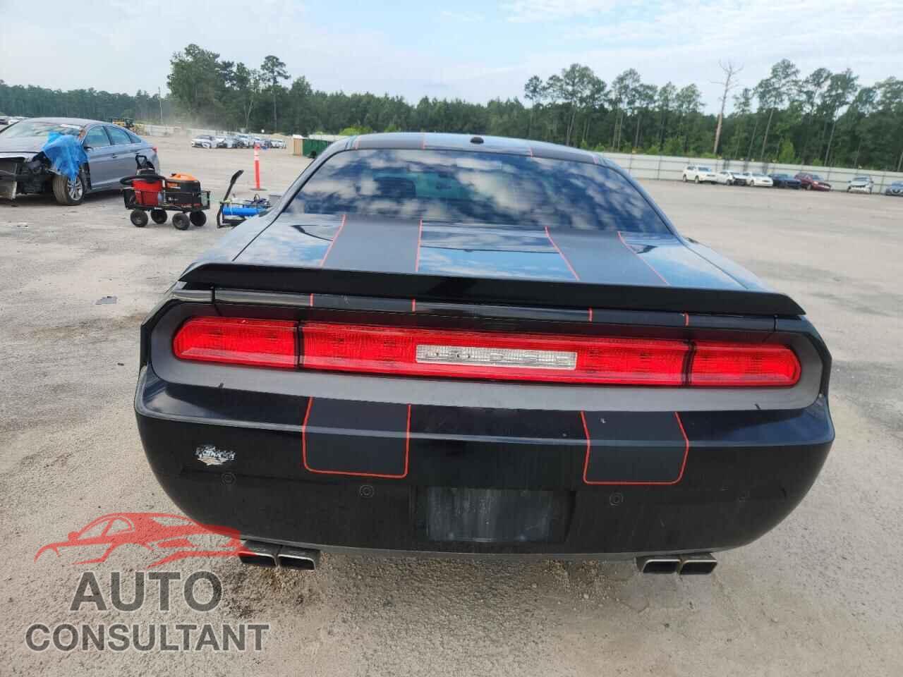 DODGE CHALLENGER 2014 - 2C3CDYBT3EH207464