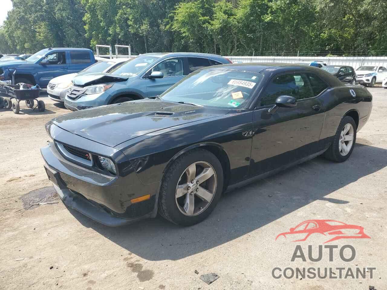 DODGE CHALLENGER 2013 - 2C3CDYBT1DH535366
