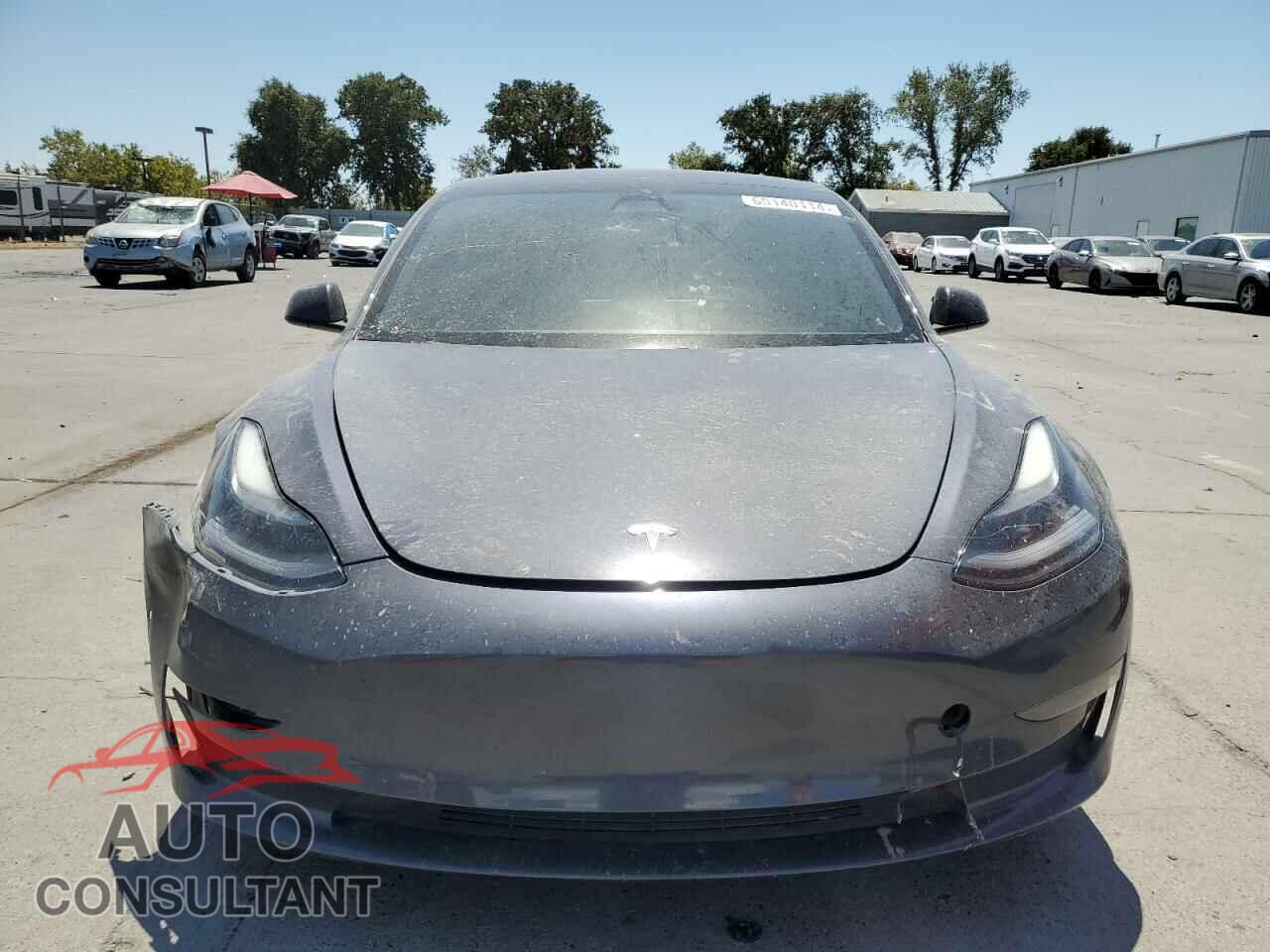 TESLA MODEL 3 2021 - 5YJ3E1EC5MF065067