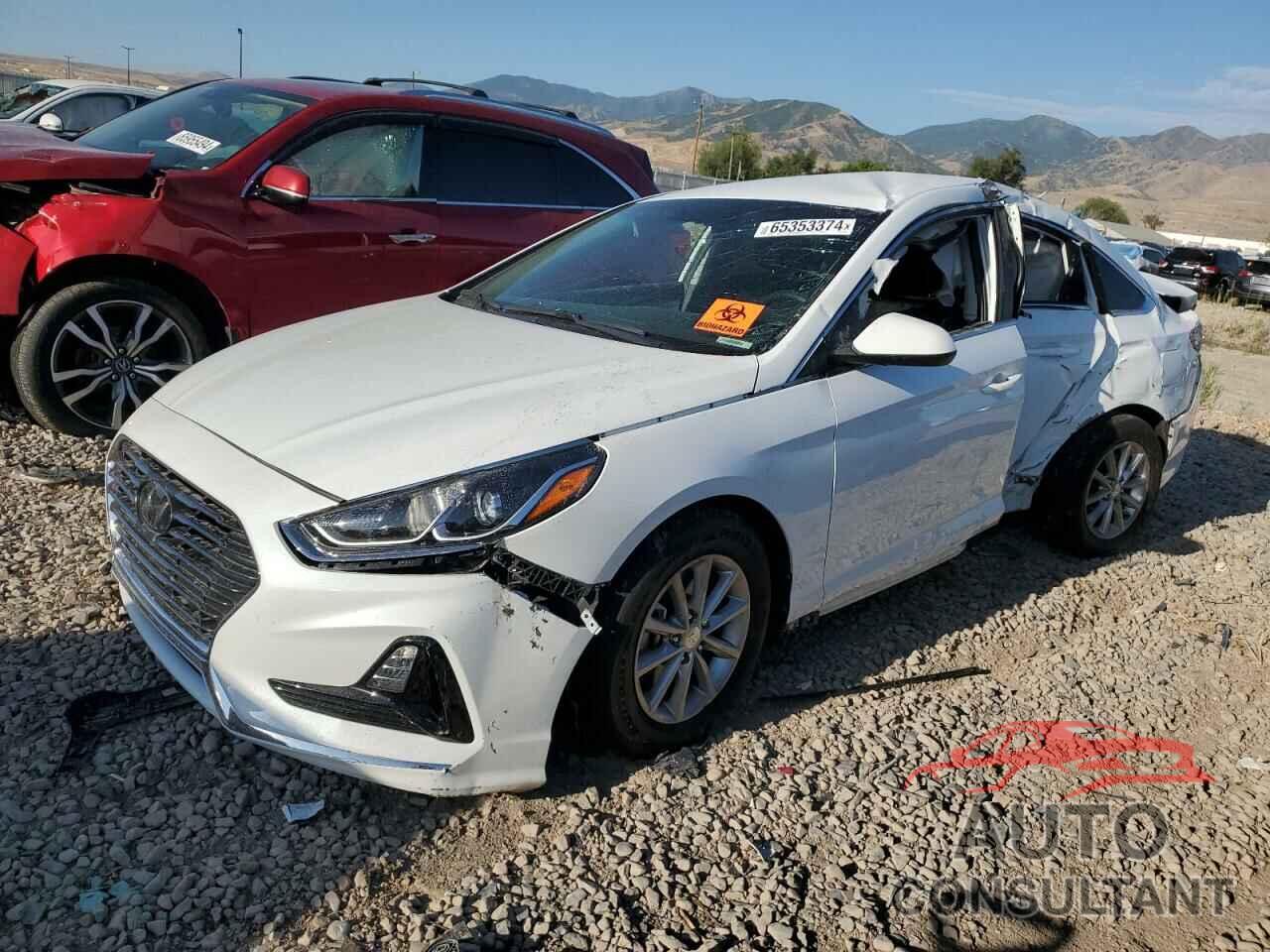 HYUNDAI SONATA 2019 - 5NPE24AFXKH812468