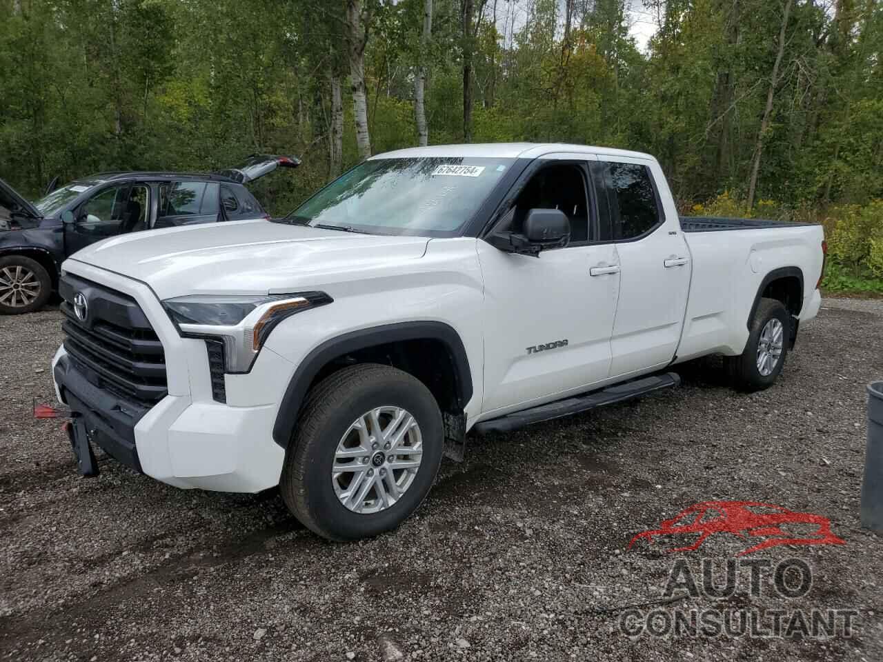 TOYOTA TUNDRA 2023 - 5TFLA5GD1PX002115