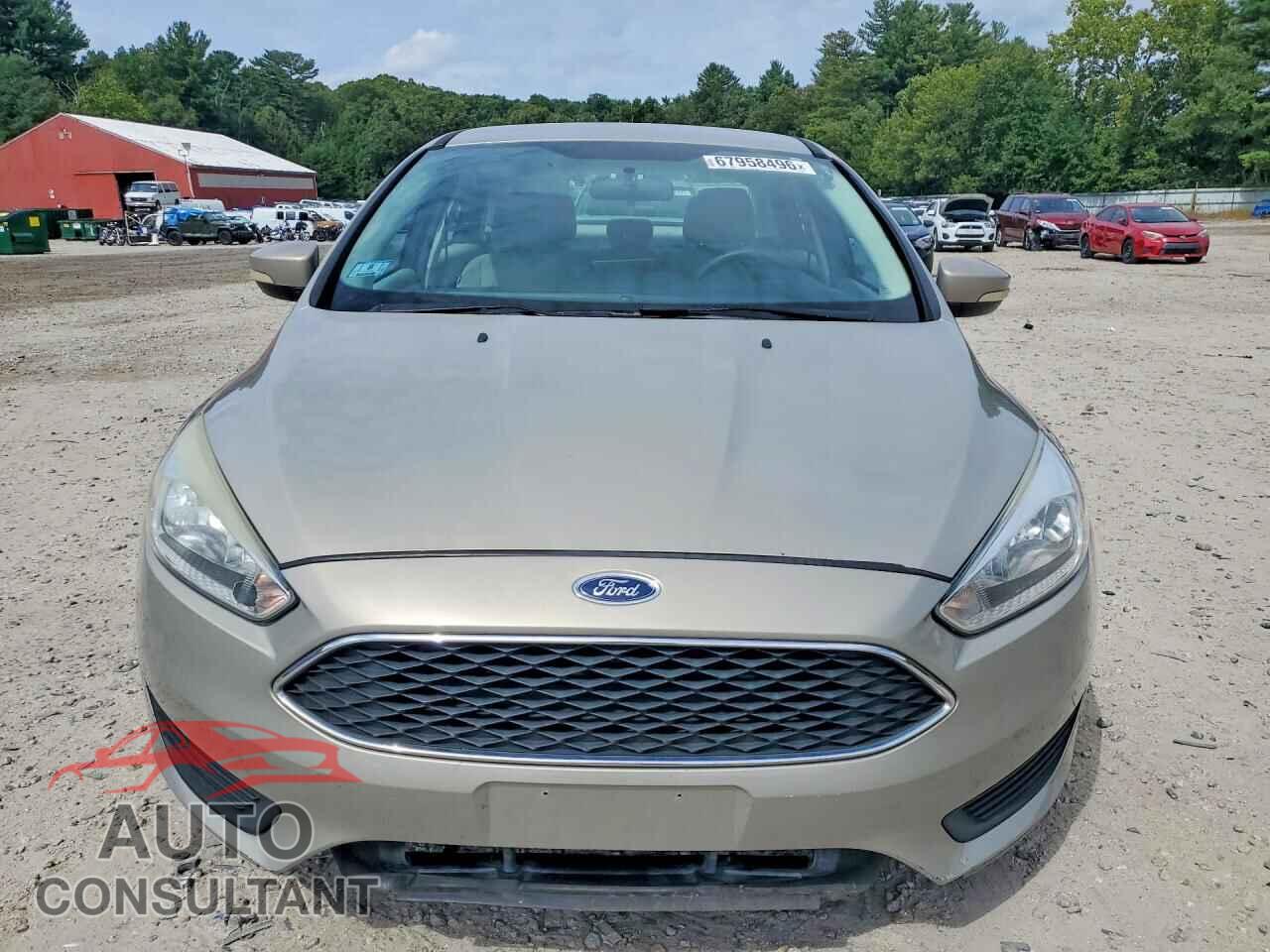 FORD FOCUS 2016 - 1FADP3F25GL239985