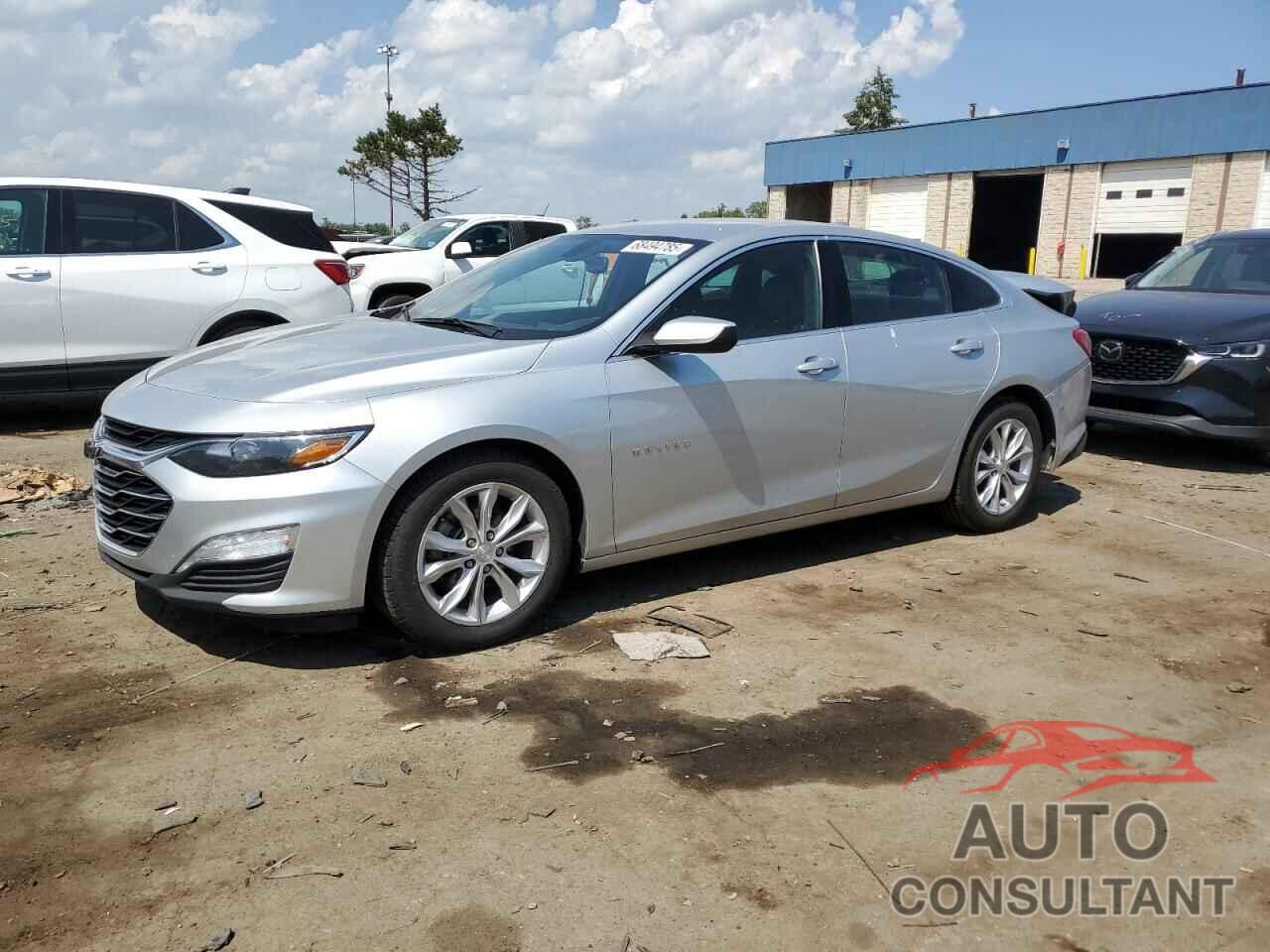 CHEVROLET MALIBU 2019 - 1G1ZD5ST7KF183096
