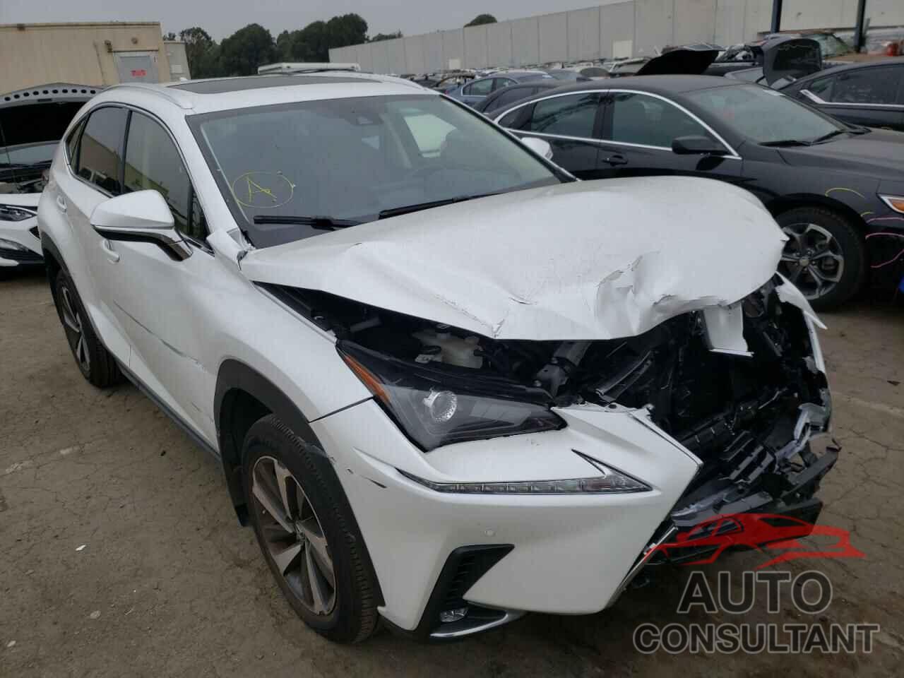 LEXUS NX 2020 - JTJDARBZ4L5007181